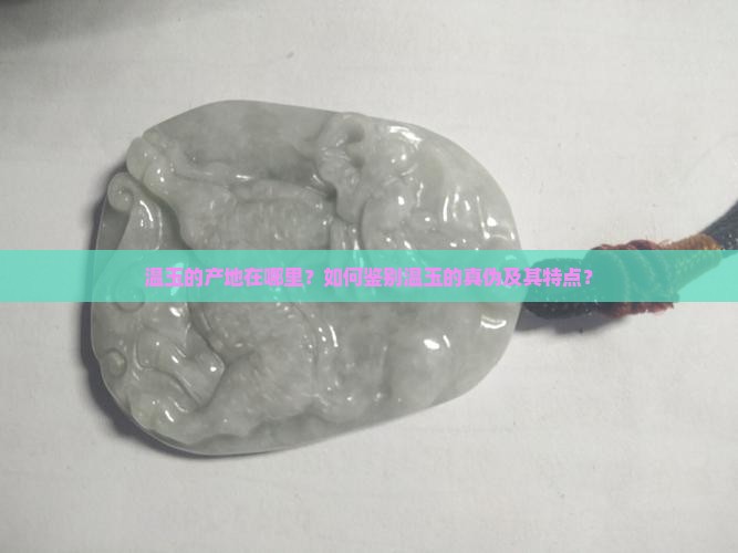 温玉的产地在哪里？如何鉴别温玉的真伪及其特点？