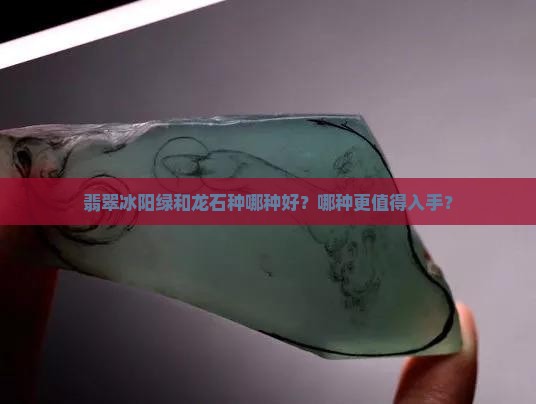 翡翠冰阳绿和龙石种哪种好？哪种更值得入手？