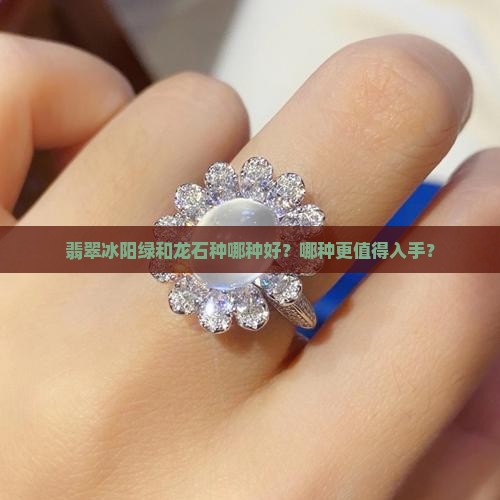 翡翠冰阳绿和龙石种哪种好？哪种更值得入手？