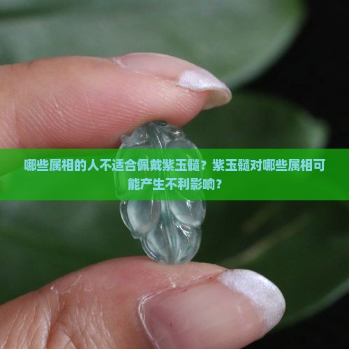 哪些属相的人不适合佩戴紫玉髓？紫玉髓对哪些属相可能产生不利影响？