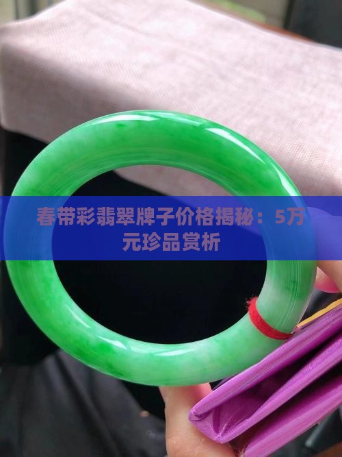 春带彩翡翠牌子价格揭秘：5万元珍品赏析