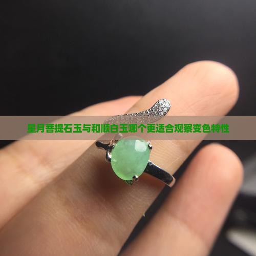 星月菩提石玉与和顺白玉哪个更适合观察变色特性