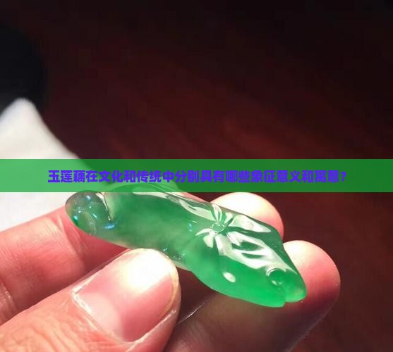 玉莲藕在文化和传统中分别具有哪些象征意义和寓意？