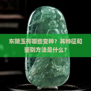 东陵玉有哪些变种？其特征和鉴别方法是什么？