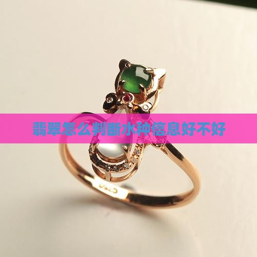 翡翠怎么判断水种信息好不好