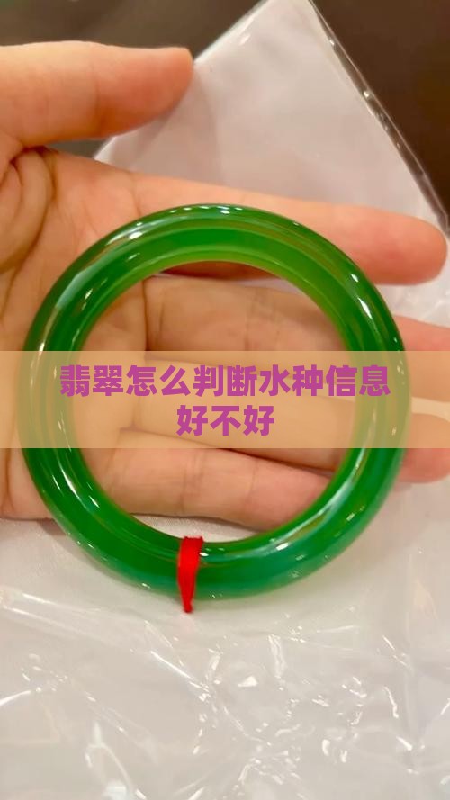 翡翠怎么判断水种信息好不好