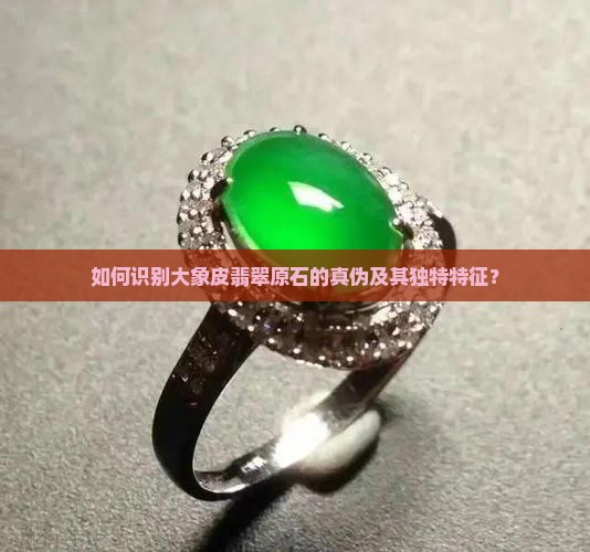 如何识别大象皮翡翠原石的真伪及其独特特征？