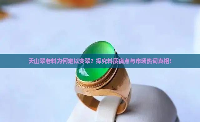 天山翠老料为何难以变翠？探究料质痛点与市场热词真相！