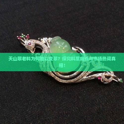 天山翠老料为何难以变翠？探究料质痛点与市场热词真相！