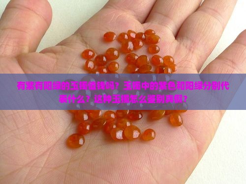 有紫有阳绿的玉镯值钱吗？玉镯中的紫色和阳绿分别代表什么？这种玉镯怎么鉴别真假？