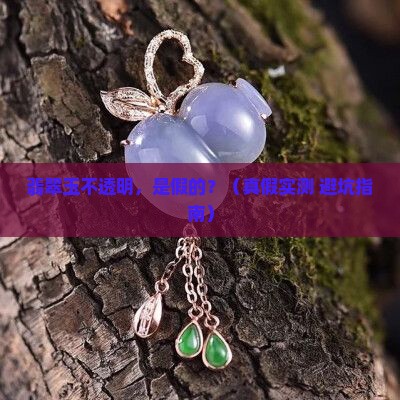 翡翠玉不透明是假的吗 翡翠玉不透明是假的吗