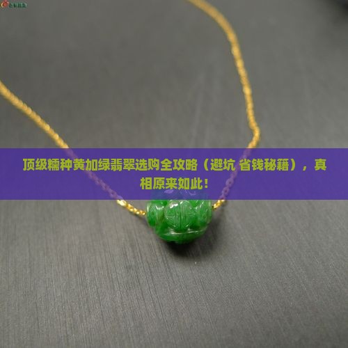 顶级糯种黄加绿翡翠