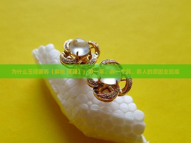 为什么玉镯要养