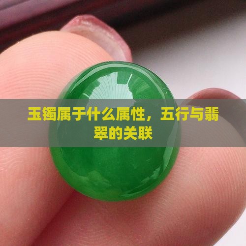 玉镯属于什么属性