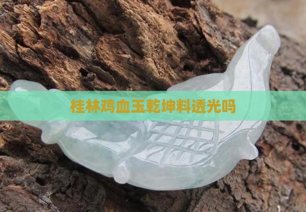 桂林鸡血玉的乾坤料透光吗