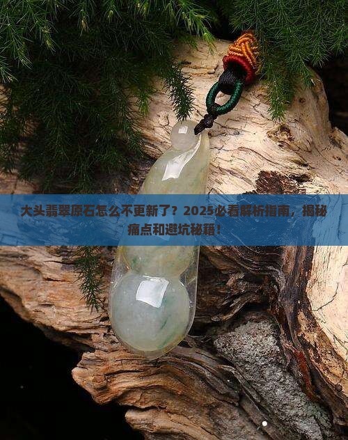 大头翡翠原石怎么不更新了