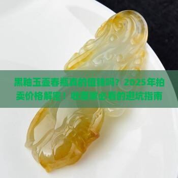 黑釉玉壶春瓶拍卖价格