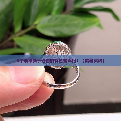 翡翠原石有色蟒一定有色嘛