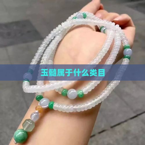 玉髓属于什么类目 玉髓属于什么类目