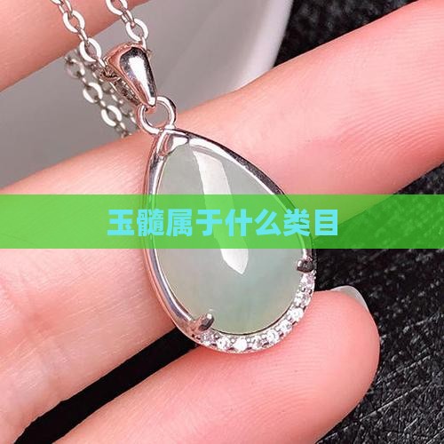 玉髓属于什么类目 玉髓属于什么类目