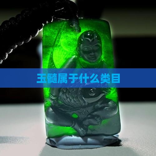 玉髓属于什么类目 玉髓属于什么类目