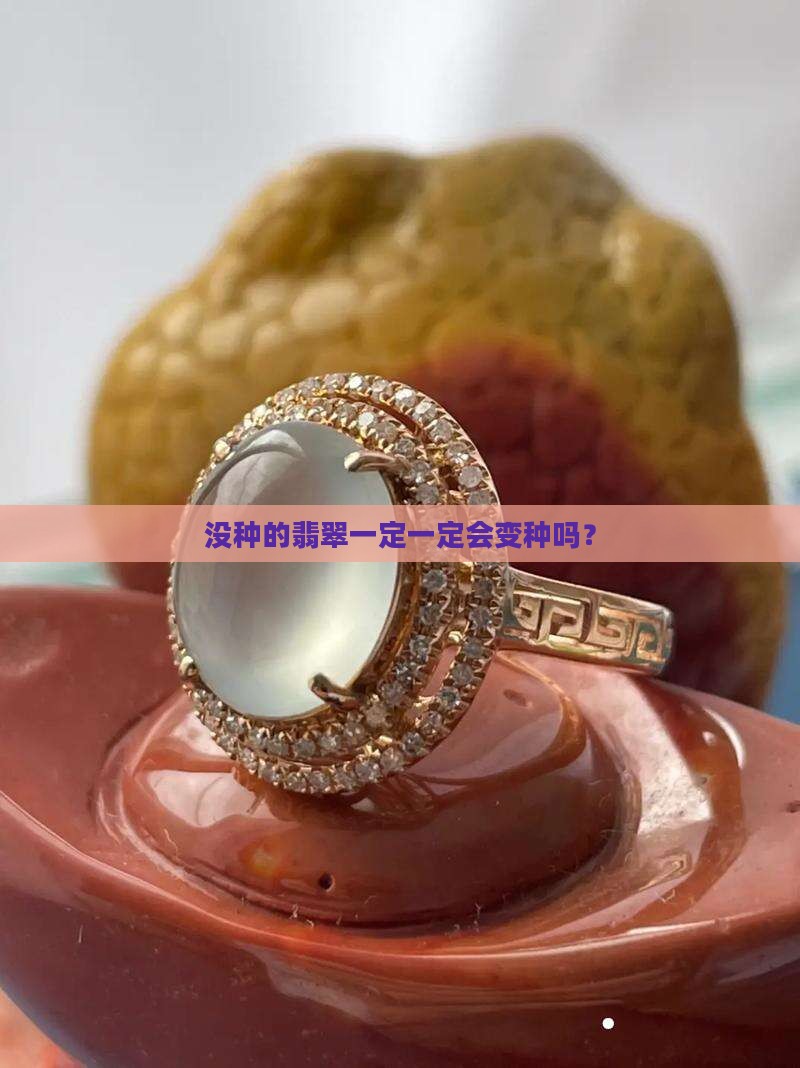 没种的翡翠一定会变种吗