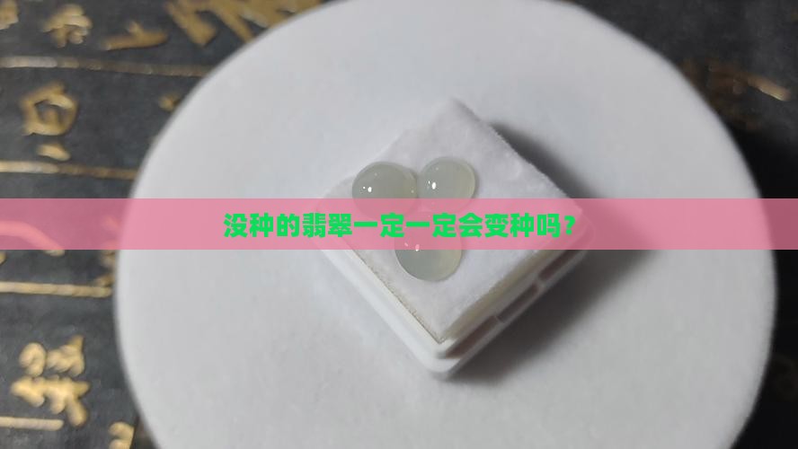 没种的翡翠一定会变种吗