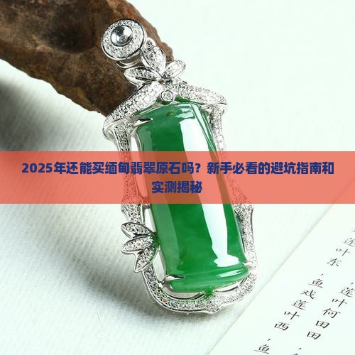 缅甸翡翠原石能购买吗现在