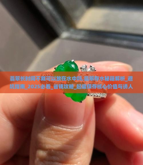 翡翠长时间不戴可以放在水中吗