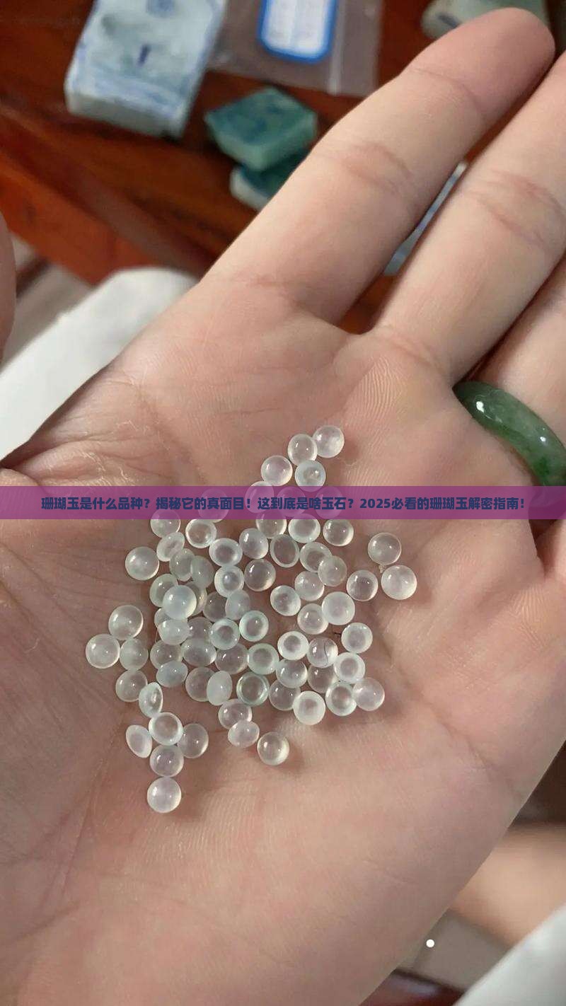 珊瑚玉是什么品种