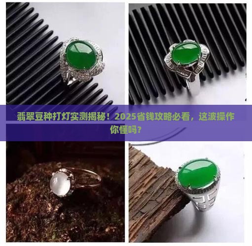 翡翠豆种打灯