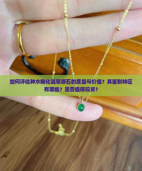 如何评估种水糯化翡翠原石的质量与价值？其鉴别特征有哪些？是否值得投资？