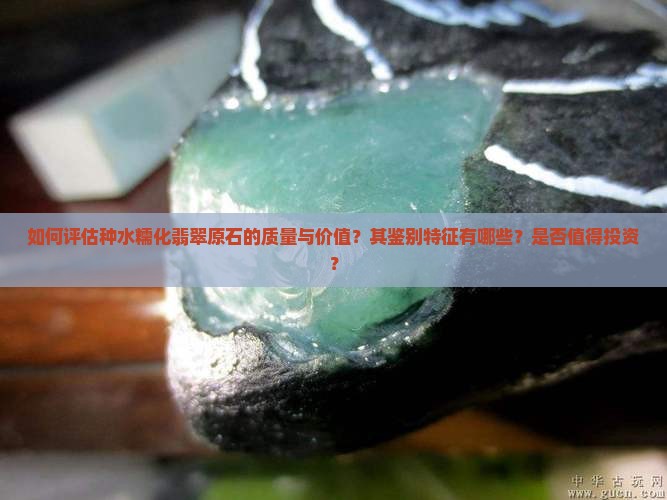 如何评估种水糯化翡翠原石的质量与价值？其鉴别特征有哪些？是否值得投资？