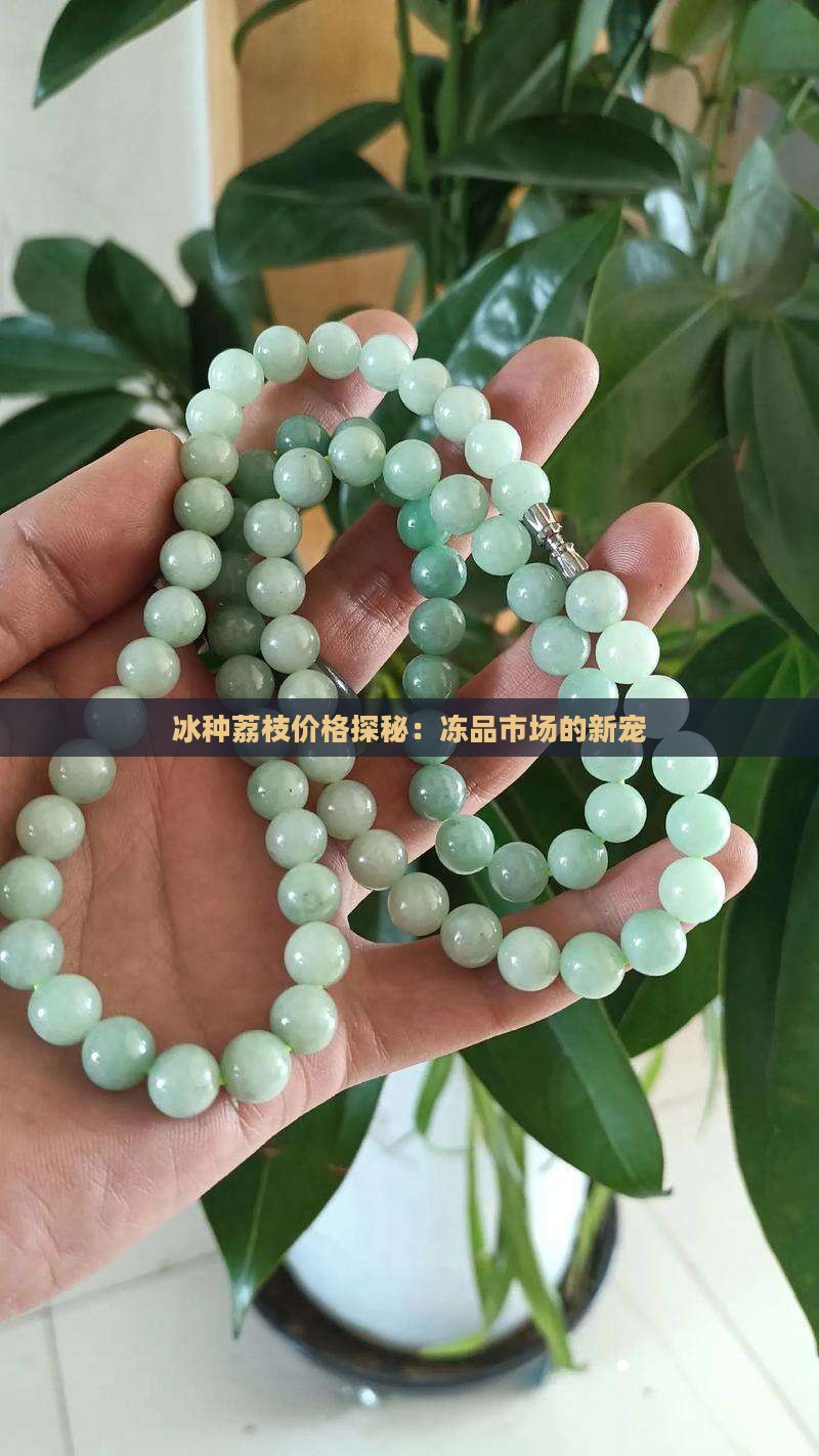 冰种荔枝价格探秘：冻品市场的新宠