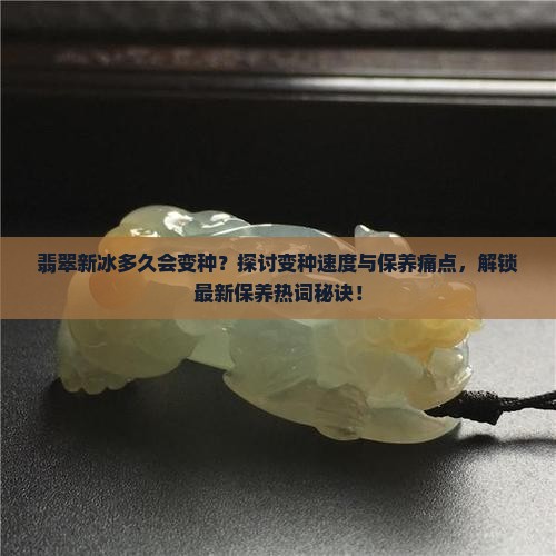 翡翠新冰多久会变种？探讨变种速度与保养痛点，解锁最新保养热词秘诀！
