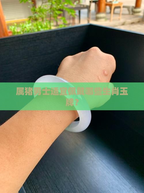 属猪男士适宜佩戴哪些生肖玉牌？