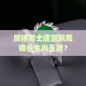 属猪男士适宜佩戴哪些生肖玉牌？