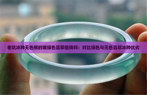 老坑冰种无色根的嫩绿色翡翠值钱吗：对比绿色与无色翡翠冰种优劣