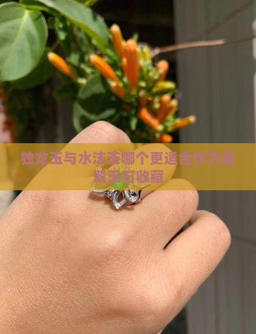 独龙玉与水沫玉哪个更适合作为翡翠玉石收藏