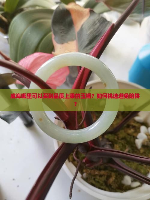 威海哪里可以买到品质上乘的玉镯？如何挑选避免陷阱？