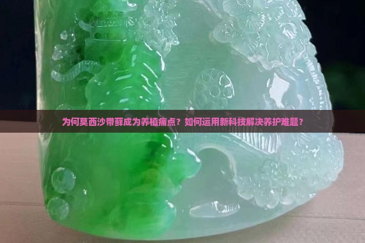 为何莫西沙带藓成为养植痛点?如何运用新科技解决养护难题? 为何莫西沙带藓成为养植痛点?如何运用新科技解决养护难题?