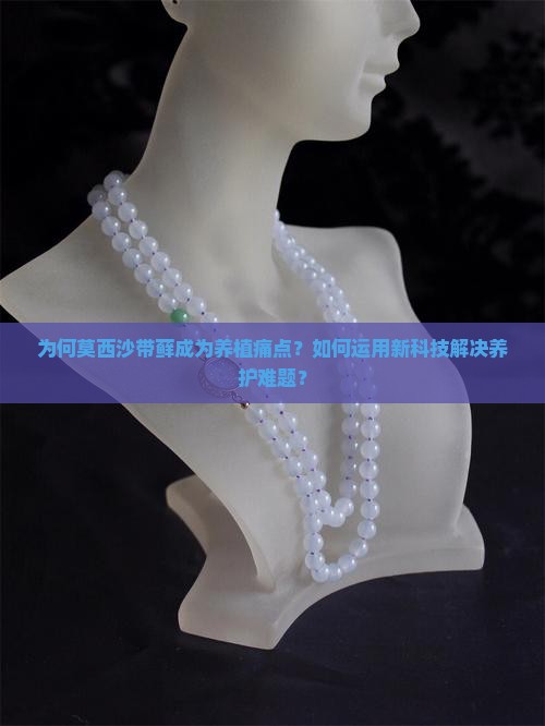 为何莫西沙带藓成为养植痛点?如何运用新科技解决养护难题? 为何莫西沙带藓成为养植痛点?如何运用新科技解决养护难题?