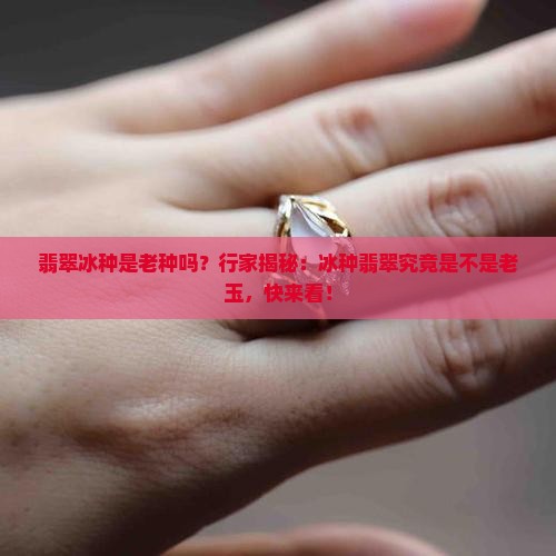 翡翠冰种是老种吗？行家揭秘：冰种翡翠究竟是不是老玉，快来看！