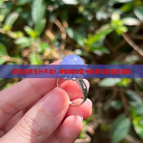 碧玉和青玉分不清？教你轻松区分翡翠与碧玉的区别