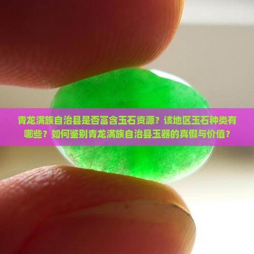 青龙满族自治县是否富含玉石资源？该地区玉石种类有哪些？如何鉴别青龙满族自治县玉器的真假与价值？