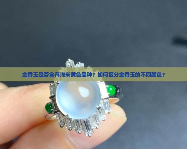 金香玉是否含有浅米黄色品种？如何区分金香玉的不同颜色？
