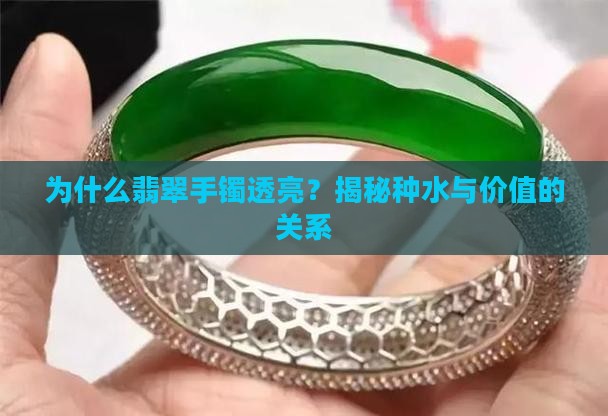 为什么翡翠手镯透亮？揭秘种水与价值的关系