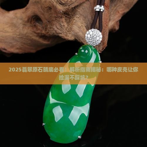 翡翠原石晴底选择什么皮壳最好