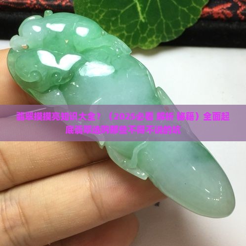 翡翠摸摸亮知识大全