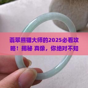 翡翠熊猫大师